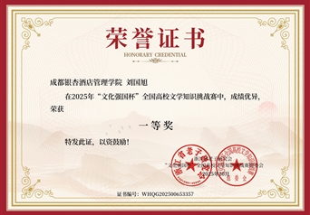 2025年“文化强国杯”全国高校知识挑战_一等奖