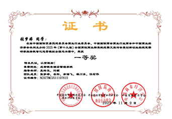 2025 年（第十九届九届）全国高校商业_一等奖