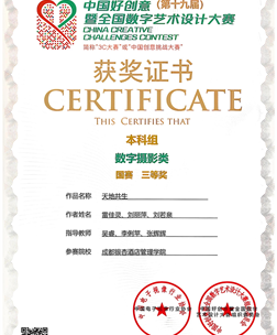 中国好创意（第十九届） 警全国数学艺术设计大赛数字摄影类国赛三等奖