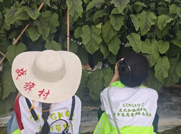 战旗村1